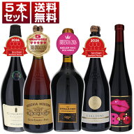 【送料無料】ワインガイドで最高賞を連続受賞！高品質にこだわりぬくワンランク上の上級ランブルスコ5本…