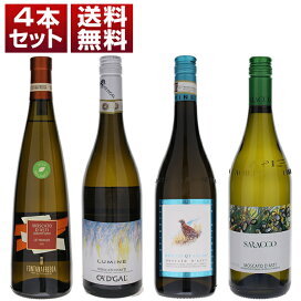 楽天市場】【送料無料】ワイン木箱 サッシカイア（6本用） 2021年 同梱 