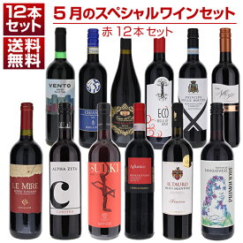【送料無料】1本あたり1210円！5月のスペシャルワインセット赤12本 ワインセット 赤 赤ワイン (750ml×12) 福袋 同梱不可 イタリア 父の日