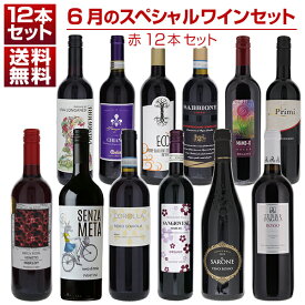 【送料無料】1本あたり1210円！6月のスペシャルワインセット赤12本 ワインセット 赤 赤ワイン (750ml×12) 福袋 同梱不可 イタリア 父の日 御中元