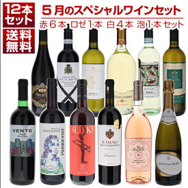 【送料無料】1本あたり1210円！5月のスペシャルワインセット赤6本ロゼ1本白4本泡1本 ワインセット 赤白ロゼ泡 (750ml×12) 福袋 同梱不可 イタリア 父の日