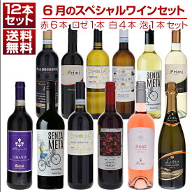 【送料無料】1本あたり1210円！6月のスペシャルワインセット赤6本ロゼ1本白4本泡1本 ワインセット 赤白ロゼ泡 (750ml×12) 福袋 同梱不可 イタリア 父の日 御中元
