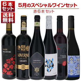 【送料無料】1本あたり1650円！5月のスペシャルワインセット赤6本 ワインセット 赤 赤ワイン (750ml×6) 福袋 ★ イタリア 父の日
