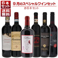 【送料無料】1本あたり1650円！9月のスペシャルワインセット赤6本 ワインセット 赤 赤ワイン (750ml×6) …