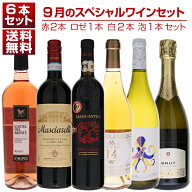 【送料無料】1本あたり1650円！9月のスペシャルワインセット赤2本ロゼ1本白2本泡1本 ワインセット 赤白ロ…