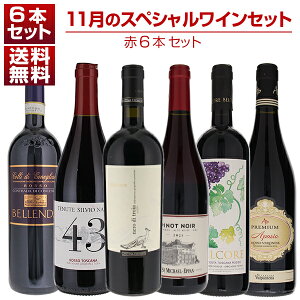 yz1{2750~I11̃XyVCZbg6{ CZbg  ԃC (750ml×6) 