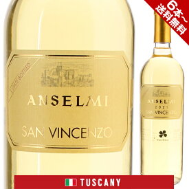 【6本～送料無料】アンセルミ サン ヴィンチェンツォ 2022 白ワイン イタリア 750ml