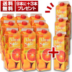【送料無料】9本に＋3本プレゼント付き！ブラッドオレンジジュース シチリア産 (1L×12本) アルモソーレ[冷凍食品][同梱不可商品]【北海道・沖縄・離島は追加送料がかかります】
