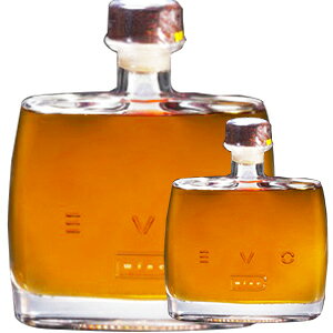 yz1000ml EVO D[C NV GmO Mtg{bNX uf[C^A