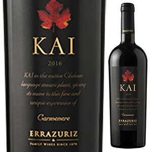 【送料無料】カイ 2016 エラスリス 750ml [赤]Kai Errazuriz