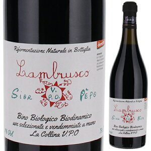 y6{`zuXR VI[ y| NV  Rb[i A ԃC C^A 750ml Rh