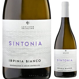 【6本〜送料無料】ヴィノジア シントニア 2022 白ワイン イタリア 750ml