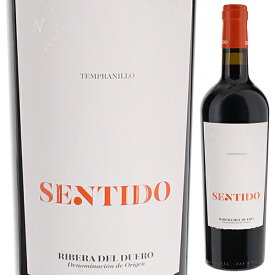 【6本～送料無料】ボデガス イ ビニェードス ネオ センティド 2020 赤ワイン テンプラニーリョ スペイン 750ml