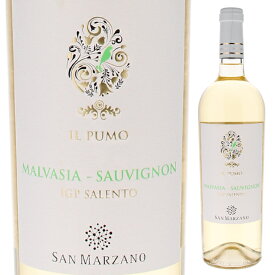 【6本～送料無料】サン マルツァーノ イル プーモ ソーヴィニヨン マルヴァジア 2022 白ワイン イタリア 750ml マルヴァジーア