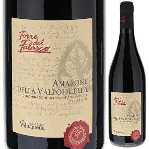 y6{`zA}[l fb @|`Fb gb f t@XR 2019 JeB[i @pe[i ԃC C^A 750ml