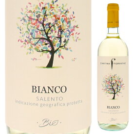 【6本～送料無料】カンティーナ フィオレンティーノ マードレテッラ ビアンコ 2022 白ワイン イタリア 750ml 自然派