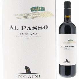 【6本～送料無料】トライーニ アル パッソ 2020 赤ワイン イタリア 750ml