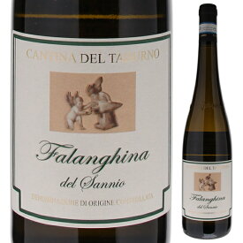 【6本～送料無料】カンティーナ デル タブルノ ファランギーナ デル サンニオ 2020 白ワイン ファランギーナ イタリア 750ml 自然派