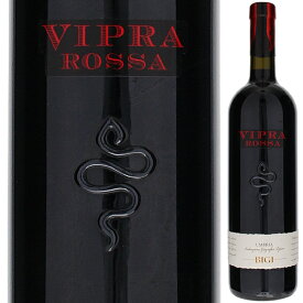 【6本～送料無料】ビジ ヴィプラ ロッサ ウンブリア 2021 赤ワイン イタリア 750ml
