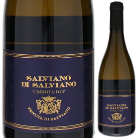 【6本～送料無料】テヌータ ディ サルヴィアーノ サルヴィアーノ ディ サルヴィアーノ 2020 白ワイン イタリア 750ml