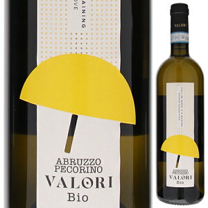 y6{`zyR[m 2024 @ C C^A 750ml AubcH t[eB tbV