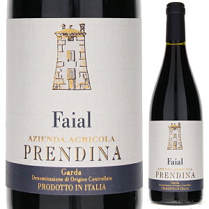 y6{`z K_ t@CA 2022  vfB[i ԃC C^A 750ml [ ofBA ʎ