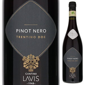 y6{`zNVbN sm l 2023 BX ԃC C^A 750ml `h bh geB[m Ag AfBWF t[eB GKg tbV