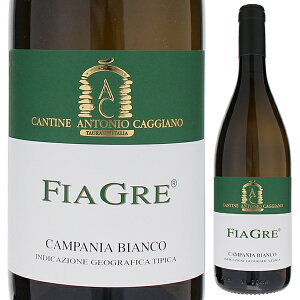 y6{`ztBAO 2023 AgjI JbW[m C C^A 750ml tBA[m fB AF[m Jp[j tbV