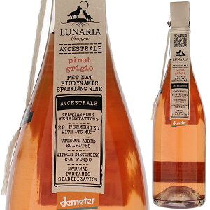 �y6�{�`���������z�s�m�O���[�W�� �A���Z�X�g���� �u�����b�g �i�`���� 2024 ���i�[���A �����A �����C�� �C�^���A 750ml ���R�h �s�m �O���[�W�� �A�u���b�c�H �ʎ��� �t���b�V�� ��Ε� �N��