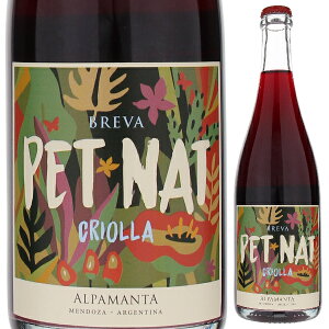 y6{`zuo ybg ibg NIW Of 2022 Ap}^ GXeCg CY A ԃC A[` 750ml rIWbN ʎ tbV