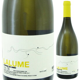 【6本～送料無料】ドミニオ ド ビベイ ラルーメ 2019 白ワイン スペイン 750ml