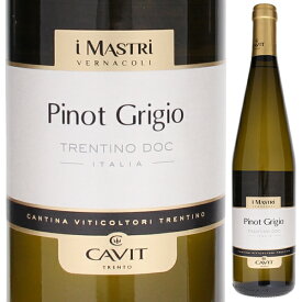 【6本～送料無料】カヴィット トレンティーノ ピノ グリージョ マストリ ヴェルナコリ 2022 白ワイン イタリア 750ml