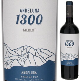 【6本〜送料無料】アンデルーナ セラーズ アンデルーナ メルロー 2021 赤ワイン アルゼンチン 750ml