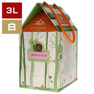 �y6�{�`���������z3000ml �s�m�O���[�W�� �i�V�m�Y���j �o�b�O �C�� �{�b�N�X 2024 ���i�[���A �����C�� �I�����W���C�� �C�^���A ���R�h �s�m �O���[�W�� �A�u���b�c�H ��Ε� �N���X�}�X�M�t