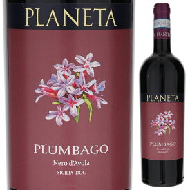 【6本～送料無料】プラネタ プラムバーゴ 2020 赤ワイン ネロ ダーヴォラ イタリア 750ml