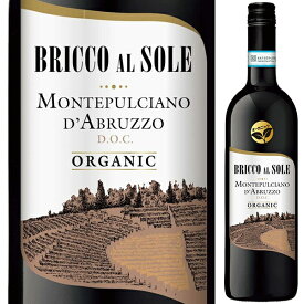 【6本～送料無料】ブリッコ アル ソーレ モンテプルチアーノ ダブルッツォ 2020 赤ワイン イタリア 750ml オーガニック スクリューキャップ