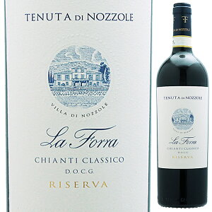 P3{y6{`z tHb LeB NVR [@ 2020 ek[^ fB mbcH[ ԃC C^A 750ml LeB TWF[[ gXJ[i ʎ GKg