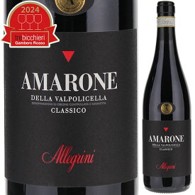 【6本～送料無料】アレグリーニ アマローネ デッラ ヴァルポリチェッラ クラシコ 2019 赤ワイン イタリア 750ml