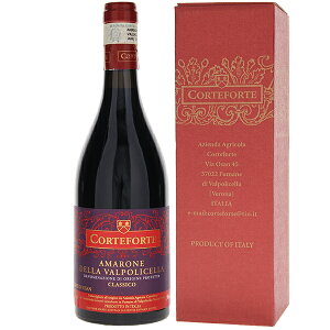 y6{`z500ml A}[l NVR BjFeB fB I[T [@ 2009 RetHe ԃC RB[ifBlbi[ C^A