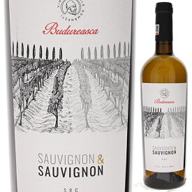 【6本～送料無料】ヴィル ブドゥレアスカ ソーヴィニヨン & ソーヴィニヨン 2022 白ワイン ルーマニア 750ml