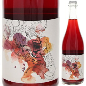 【6本～送料無料】ヴィンテロパー パーク ワイン レッド 2022 赤ワイン オーストラリア 750ml