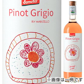 【6本〜送料無料】ピノ グリージョ 2024 ババル 白ワイン オレンジワイン イタリア 750ml ピノ グリージョ100 アブルッツォ フルーティ 御中元 暑中見舞い 残暑見舞い