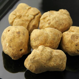 【送料無料】12月12日(金)発送予定 アルバ産 白トリュフ 約20g不定貫(1765.8円/g) 冷蔵食品 同梱不可商品クレジット・後払い 決済限定商品