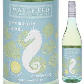 【6本〜送料無料】プロミスド ランド シャルドネ 2024 ウェイクフィールド 白ワイン オーストラリア 750ml フレッシュ 寒中見舞い バレンタインギフト 成人式
