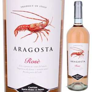 y6{`zASX^ [ 2024 T^ }A  p} [C C^A 750ml JmiE Tf[j ʎ tbV