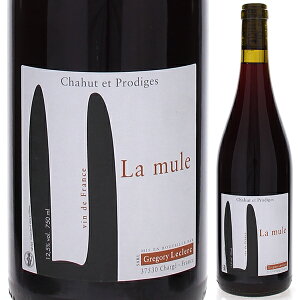 y6{`z ~[ 2022 h[k VE G vfB[W ԃC tX 750ml Rh KC [ ʎ