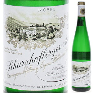 yzVcz[txK[ [XO AEX[[ 2023 GS ~[ C hCc 750ml