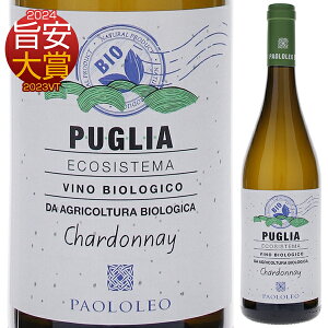 y6{`zGRVXe} Vhl rIWR 2024 JeB[l pII C C^A 750ml v[A t[eB tbV Ε NX}XMtg