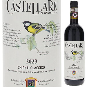 y6{`zLeB NVR 2023 JXeb[ fB JXe[i ԃC C^A 750ml TWF[g95 gXJ[i