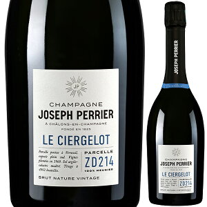 �y���������z�� �V�G���W���� 2020 �W���Z�t �y���G �X�p�[�N�����O �����C�� �V�����p�� �t�����X 750ml �s�m ���j�G �V�����p�[�j�� �G���K���g